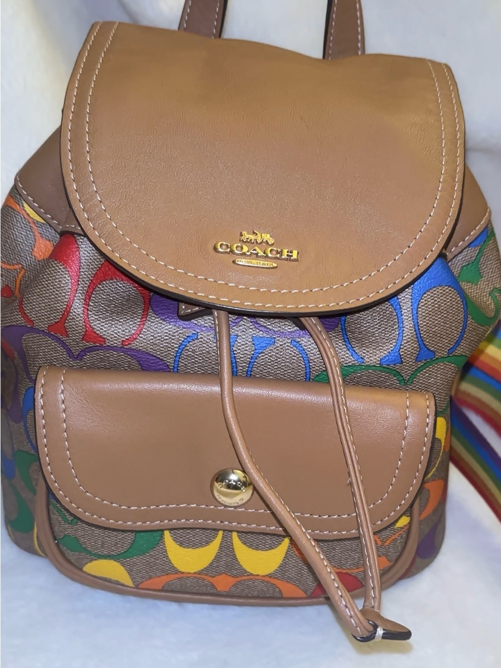 Coach Rainbow Signature Canvas Shoulder Bag with Brown Leather Trim